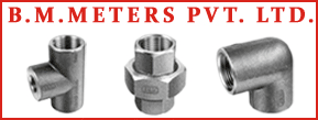 B.M. Meters Pvt. Ltd. 